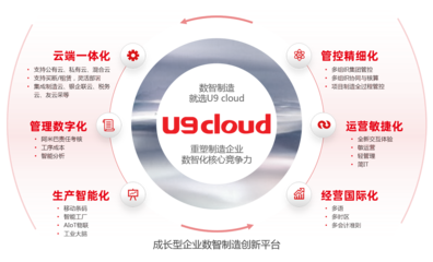 軟件產品的互聯網銷售 策略、優勢與挑戰